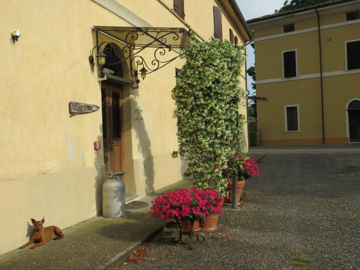 Agriturismo Rivieraoglio Piadena Ngoại thất bức ảnh