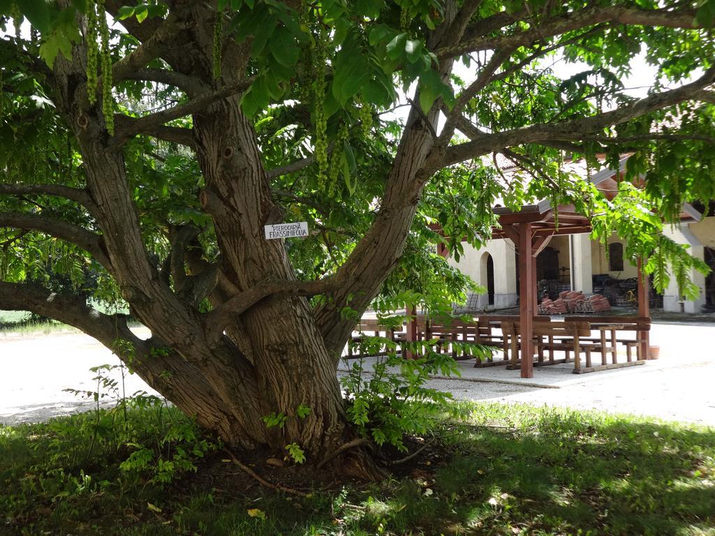 Agriturismo Rivieraoglio Piadena Ngoại thất bức ảnh